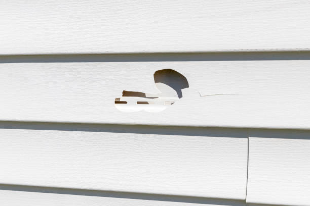 Best Engineered Wood Siding  in San Rafael, CA