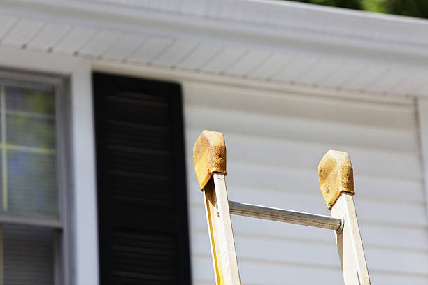 Best Custom Trim and Detailing for Siding  in San Rafael, CA